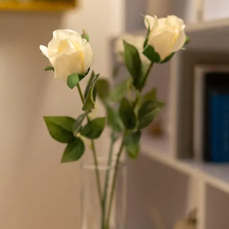 Battisti Flat, Near Station Appartamento