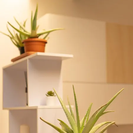 Battisti Flat, Near Station Διαμέρισμα