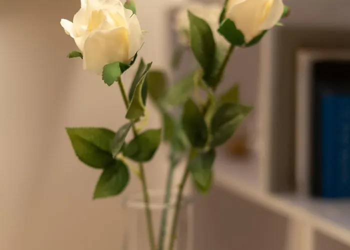 Battisti Flat, Near Station Apartament